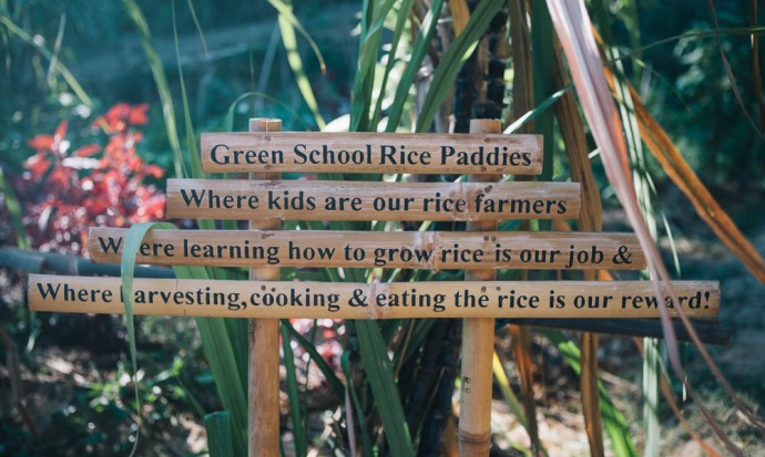 Green school sign